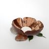 coconut shell soapdish handcrafted natural soap