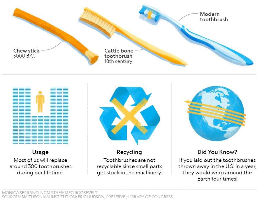 How many plastic toothbrushes do you use? Green Whale